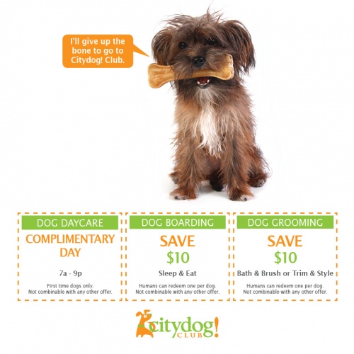Citydog Club coupons: Complimentary day, $10 off boarding, $10 off grooming