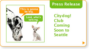 The Hollywood Reporter: Top A Lister Dog Hangouts