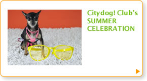 Citydog! Club's SUMMER CELEBRATION