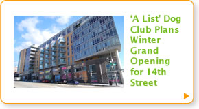 A list dog club to open on 14th street