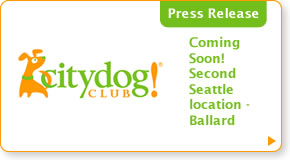 Second Seattle Location Coming Soon!