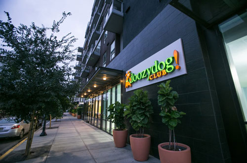 Doozydog Culb! San Diego East Village Location.